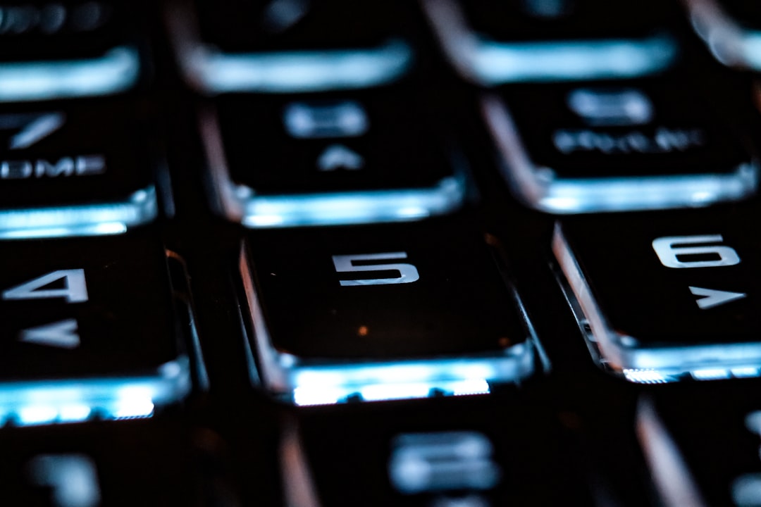 lithuanian watchdog security illustration