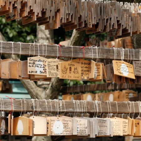 Anna’s Archive Loses .Org Domain After Surprise Suspension Update