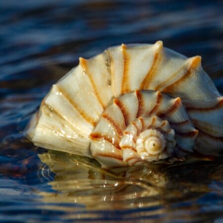 900+ Sangoma FreePBX Instances Compromised in Ongoing Attacks