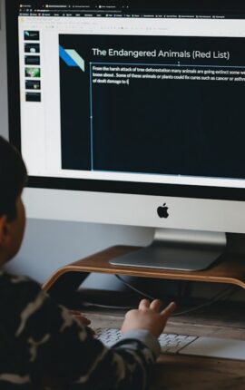 Surge in Bomgar RMM Exploitation Highlights Supply Chain Risk